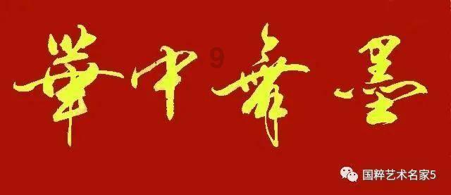 春雨直播app