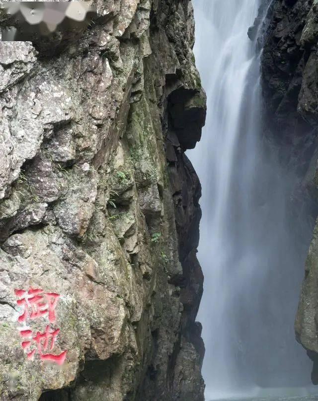 全民烧脑3去广告版